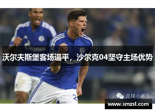 沃尔夫斯堡客场逼平，沙尔克04坚守主场优势