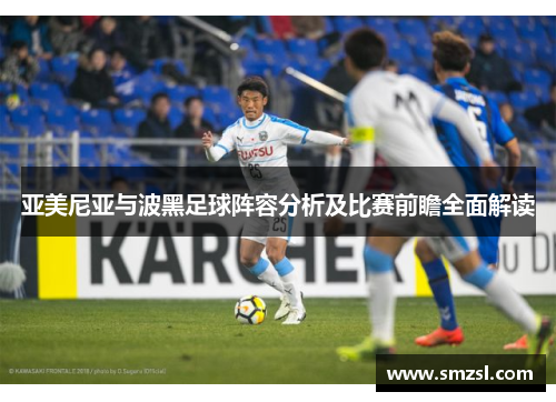 亚美尼亚与波黑足球阵容分析及比赛前瞻全面解读